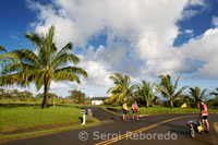 Bajada en bicicleta del Heleakala Nacional Park desde la carretera 365 hasta el cruce de Hana. Maui.